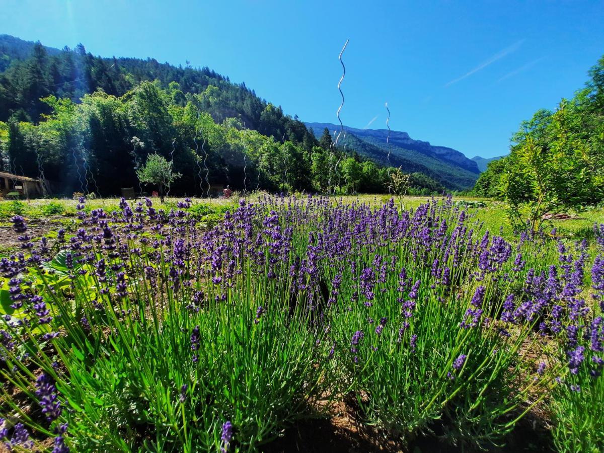 Готель La Bergerie A Menee Шатійон-ан-Дюа Екстер'єр фото